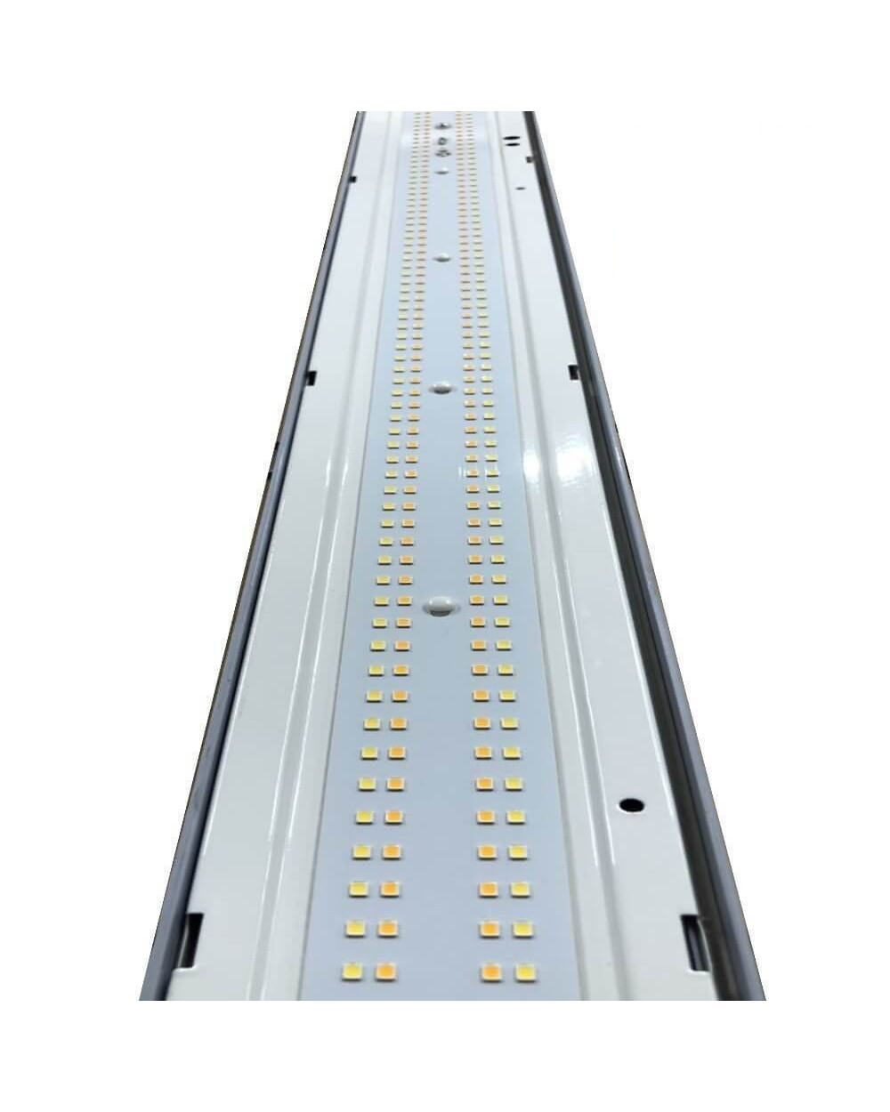 pantalla-estanca-led-40w-coreplus-evo-120cm-driver-philips-xitanium-3cct-ip667